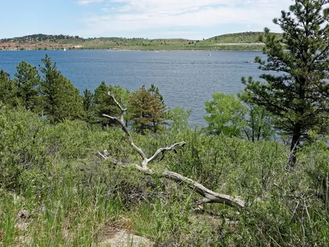 Carter Lake from the scrub and pines of its eastern shore, a fallen pine in the foreground