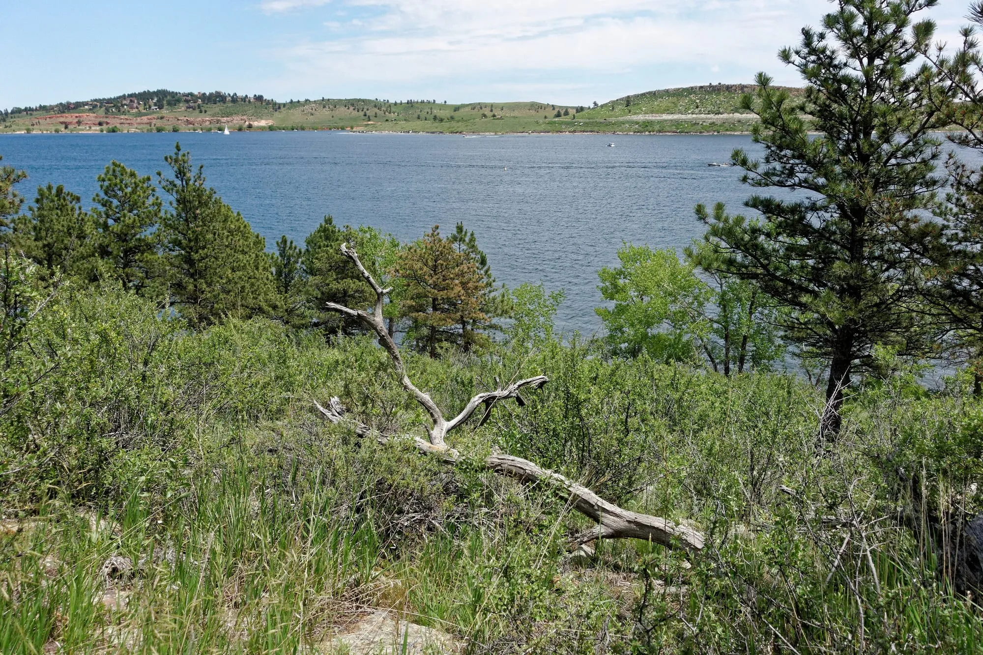 Carter Lake on a June afternoon, with the hogback foothills across the water west of Berthoud